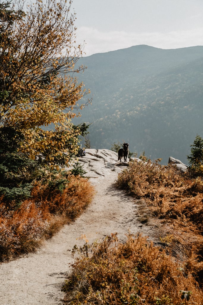 New Hampshire Outdoor Adventure Elopement