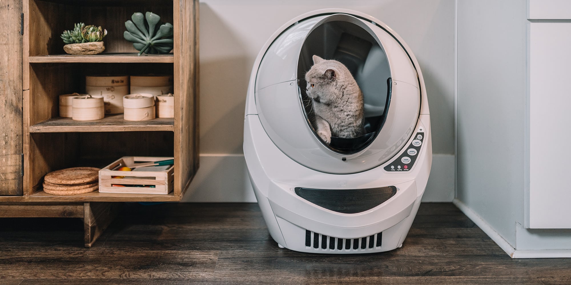 Litter robot top deals