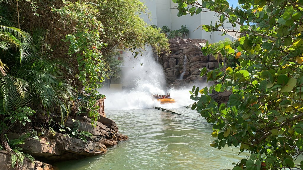 Get Soaked on a Water Ride
