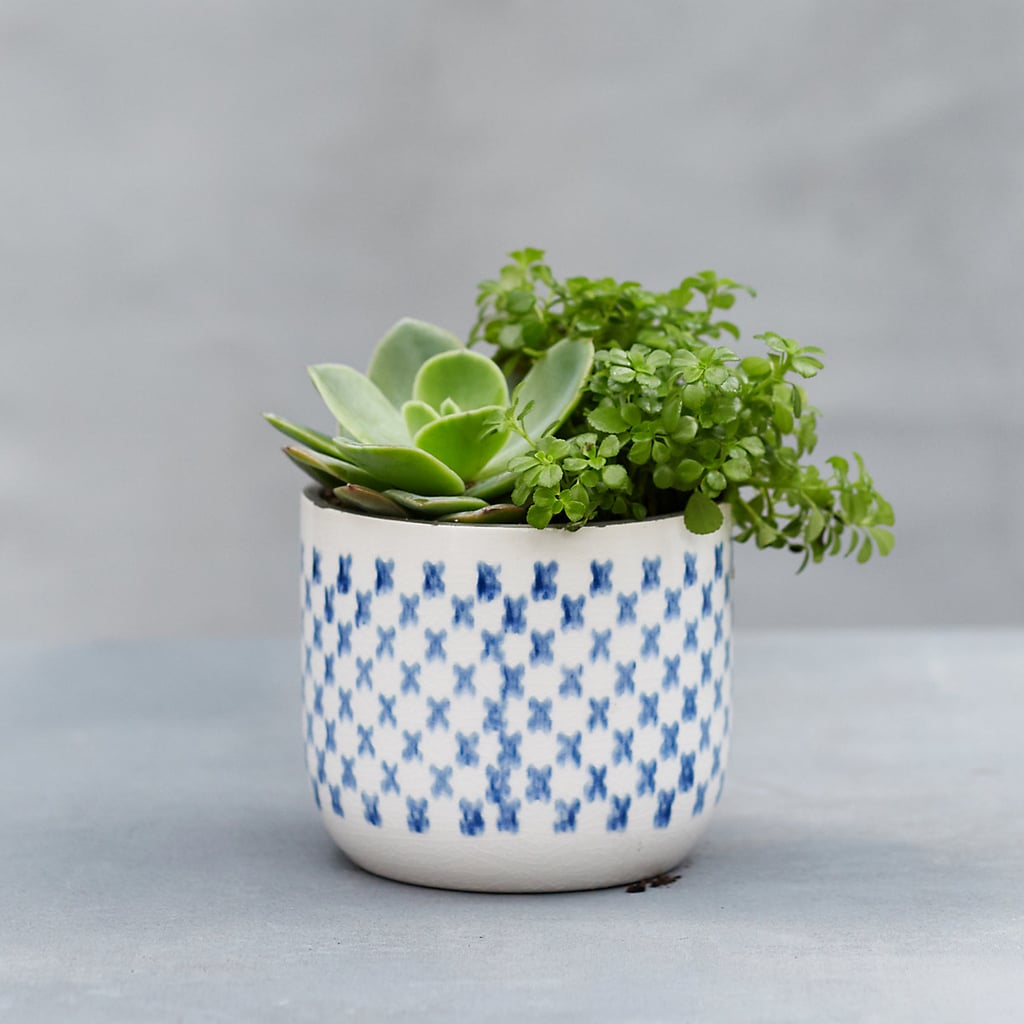 Nordic-Print Ceramic Pot