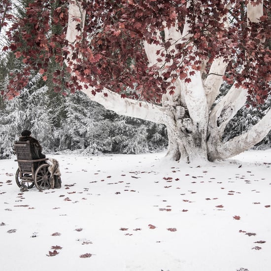 Why Were They Guarding the Weirwood Tree on Game of Thrones?
