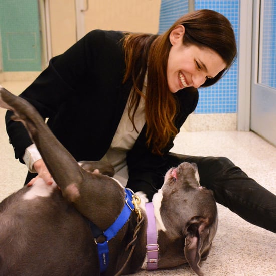 Lake Bell on Introducing Her Baby to Her Dogs | Interview