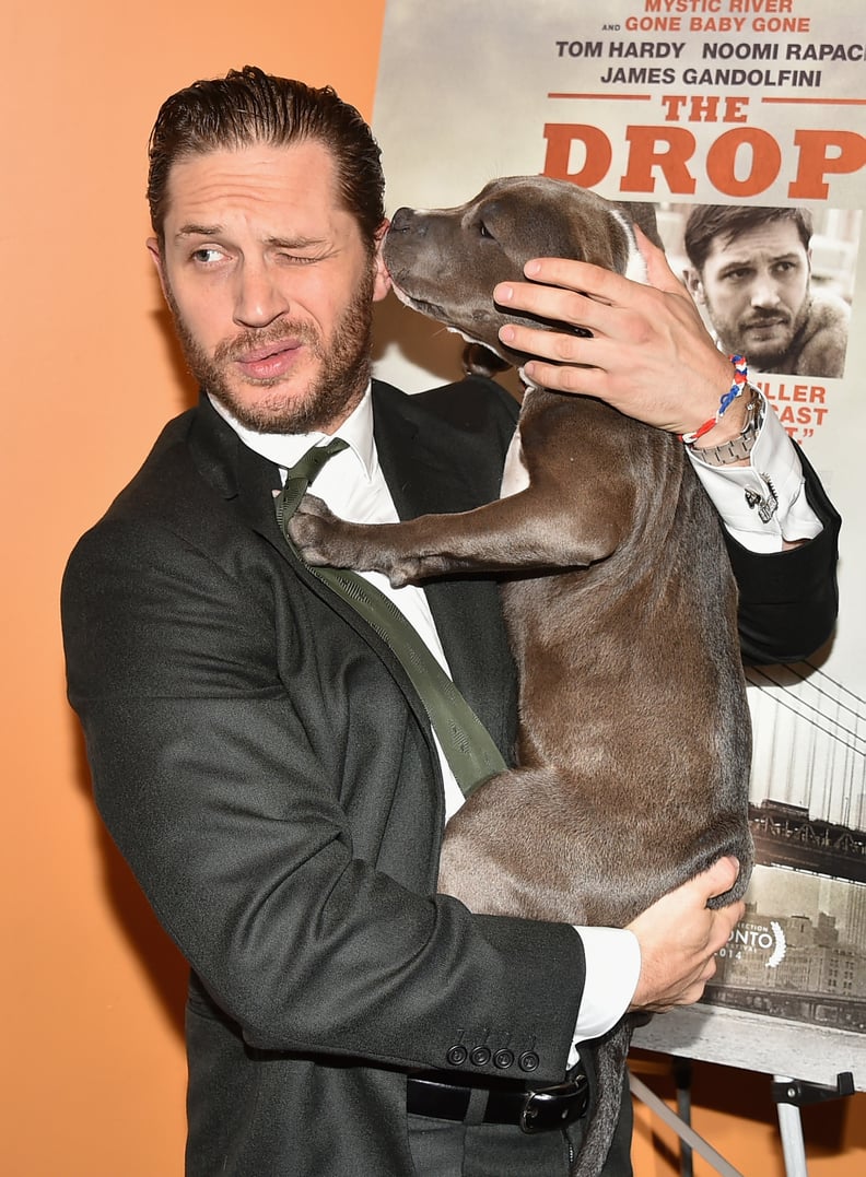 Tom Hardy's Date For the Premiere of The Drop Was a Puppy