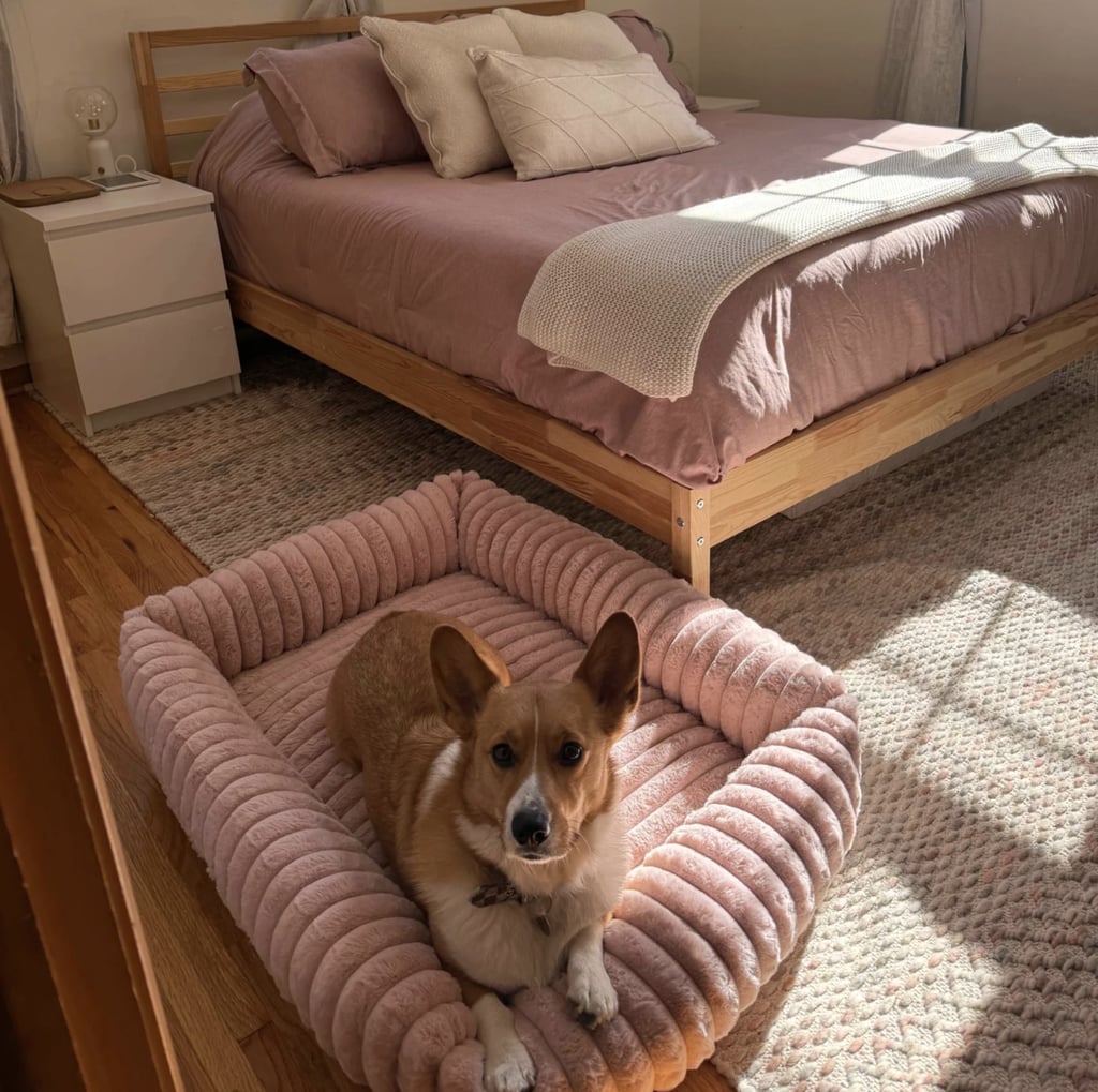 Bedsure Corduroy Fleece Pet Bed ($54, originally $66)
Every pet parent knows that a good bed for your dog or cat is a worthwhile investment. This TikTok-viral option has raised sides so your furbaby has a comfy nook for their head and neck, and it comes in sizes small to extra large so pets have enough room to rest comfortably through the night. One editor raved about it in her Bedsure Corduroy Fleece Pet Bed review.
Editor Quote: "The Bedsure Corduroy Fleece Pet Bed's design and features are next-level. It seriously has everything I could want in a pet bed, both for me and for Cooper. For him, it has raised sides that are perfect for resting his head, plush filling that I'd lie on myself if only it were human-sized, and a nonslip bottom to keep it in place. I appreciate the removable, washable cover that I toss in with my laundry each week, the easy-carry handle for moving it around, and the ribbed design that adds a touch of fun texture to my bedroom." — Marisa Petrarca, former contributing shopping editor