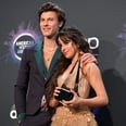 Is Camila Cabello's New Song "June Gloom" About Ex, Shawn Mendes?