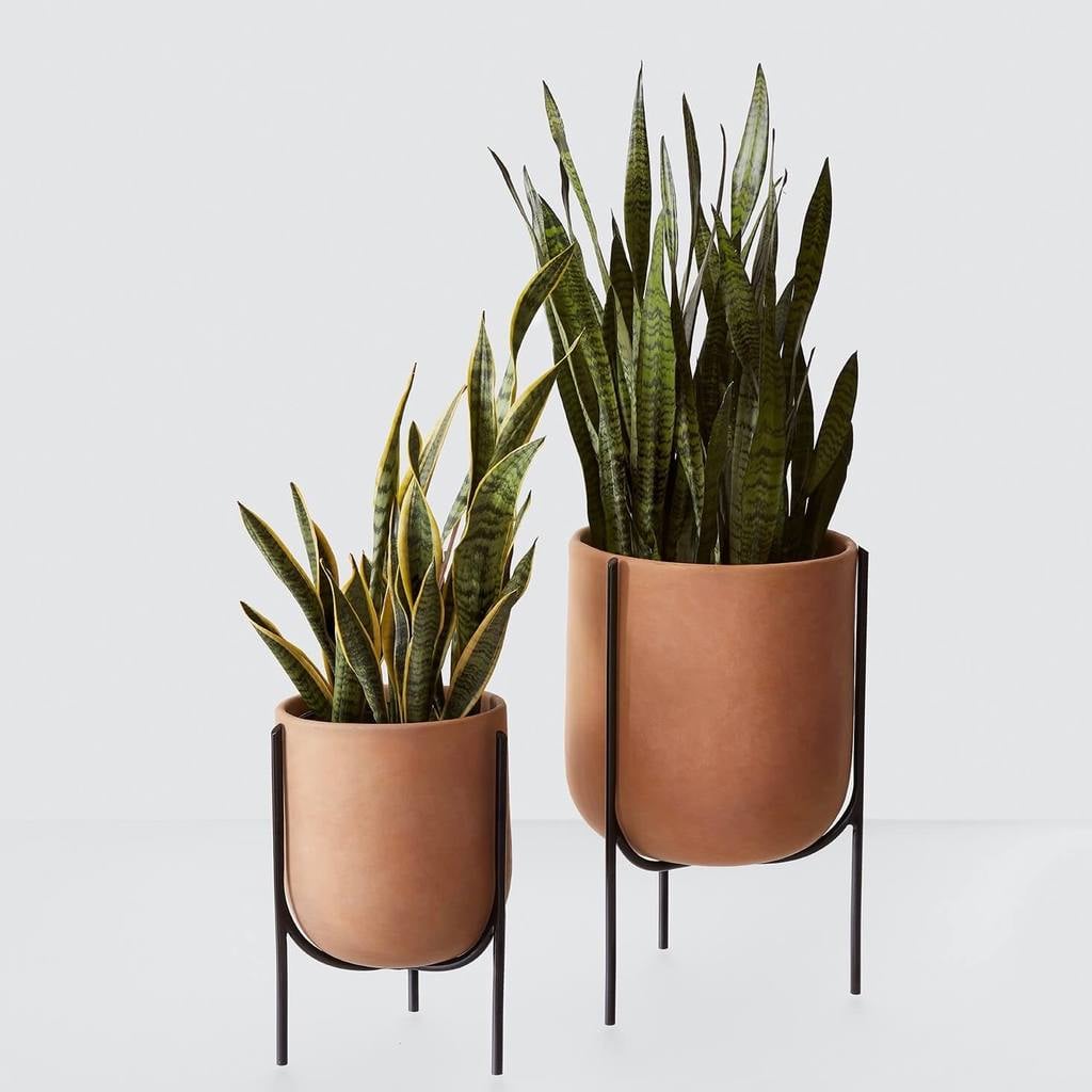 The Citizenry Mid-Century Modern Clay Planter