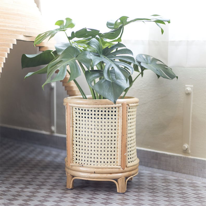 Freckle Pots Cloud Rattan Planter Stand