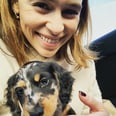 Emilia Clarke's New Puppy Has Already Stolen My Heart, and I'd Give Him My Wallet, Too