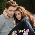 There Are 2 More Twilight Books in the Works, So We Have a Few Suggestions