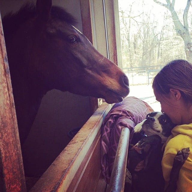 Grace Burns spent some time in the stables. 
Source: Instagram user cturlington