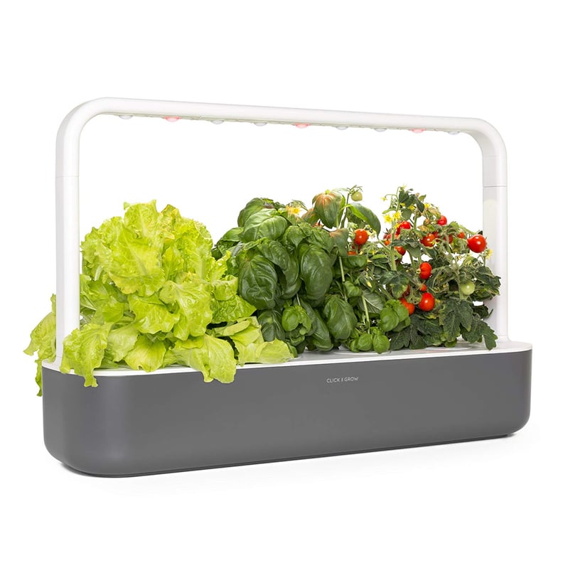 Click and Grow Smart Garden 9 Indoor Home Garden