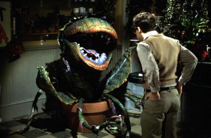 Little Shop of Horrors | Most Disturbing Movies Reddit ...