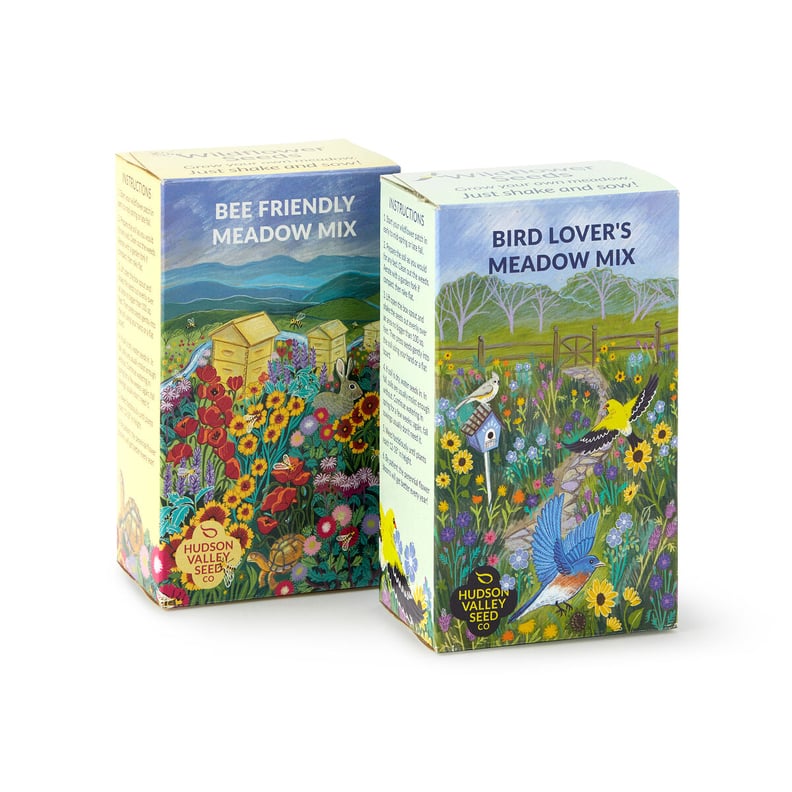 Pollinator Meadow Seed Shaker Set