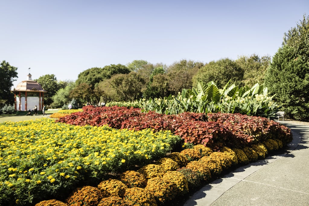 Check out a local garden.