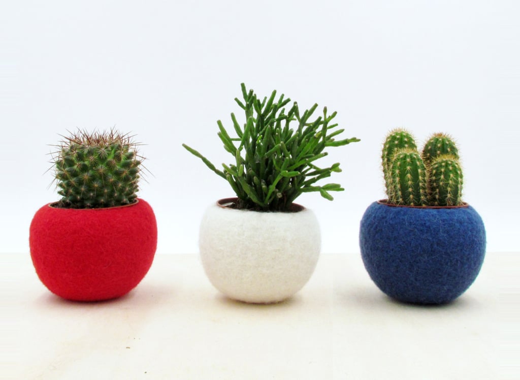 Felt Succulent Planter Collection