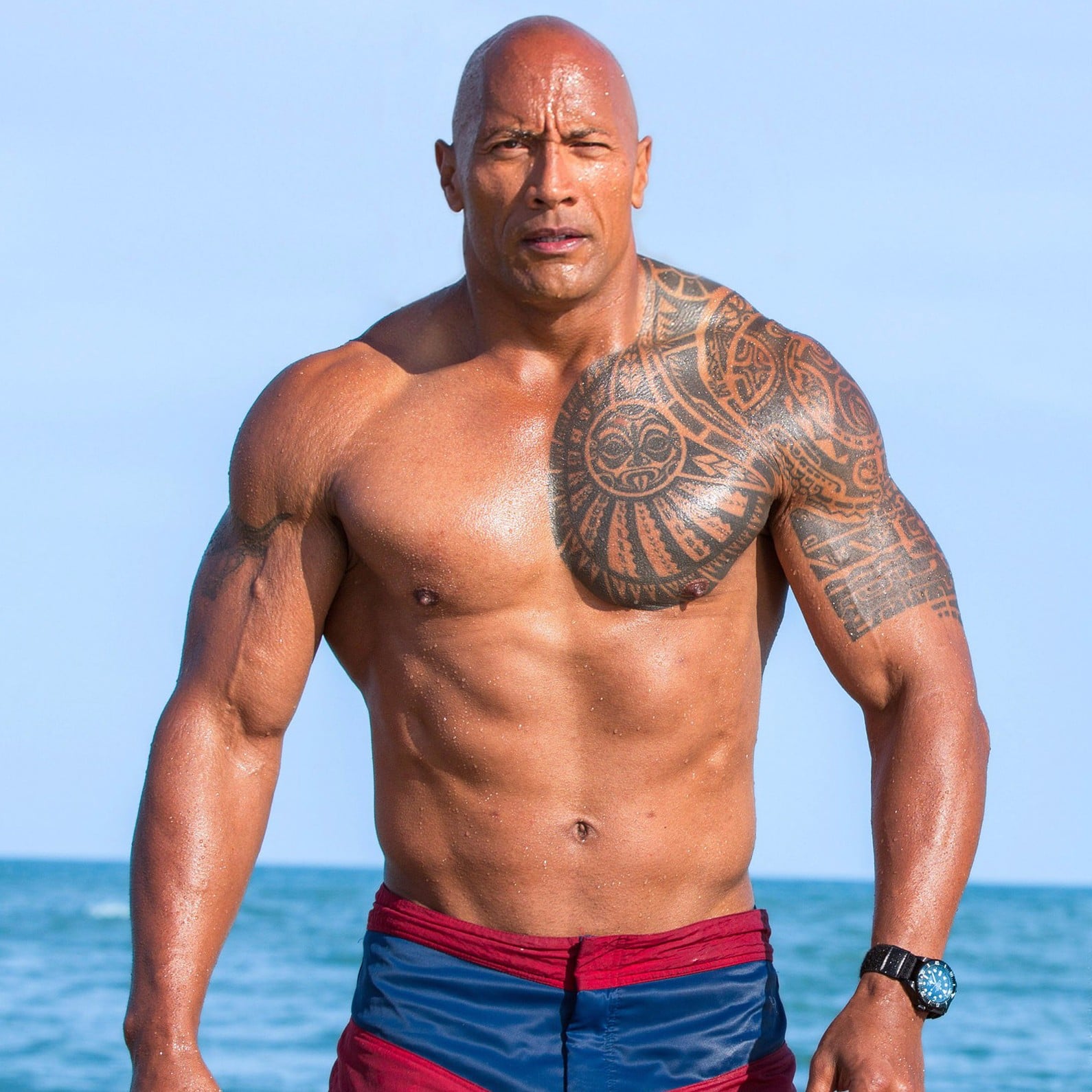 Image result for dwayne johnson