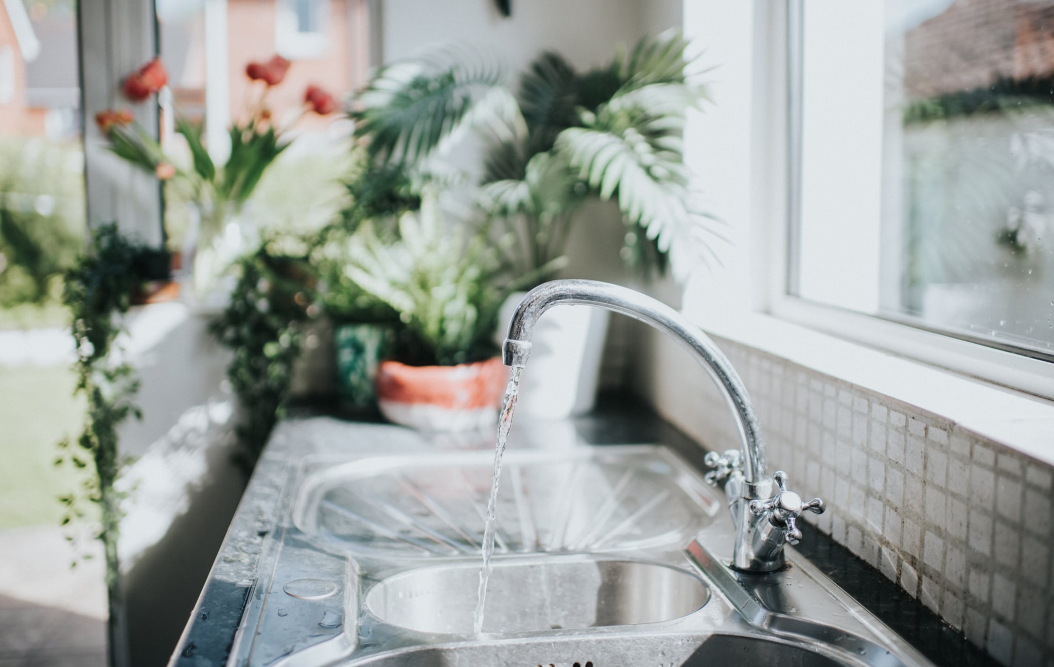 Silver tap in a kitchen setting with lots of plants, on a sunny day.