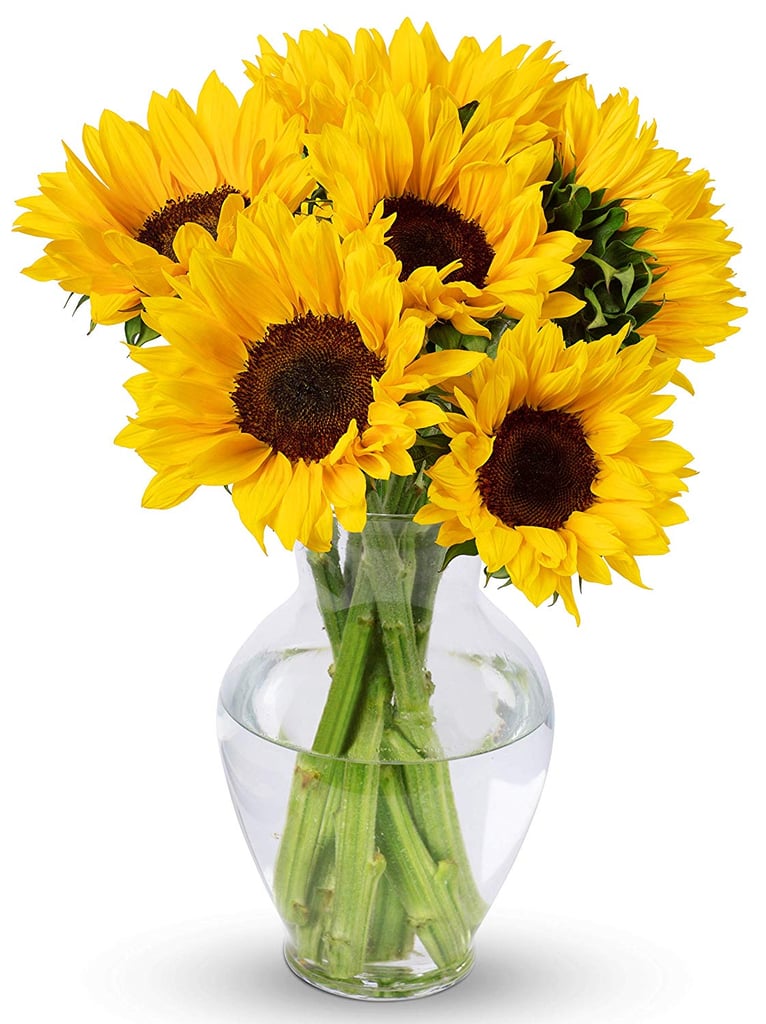 Benchmark Bouquets Yellow Sunflowers