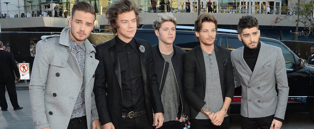 What It's Like to Be an Adult One Direction Fan