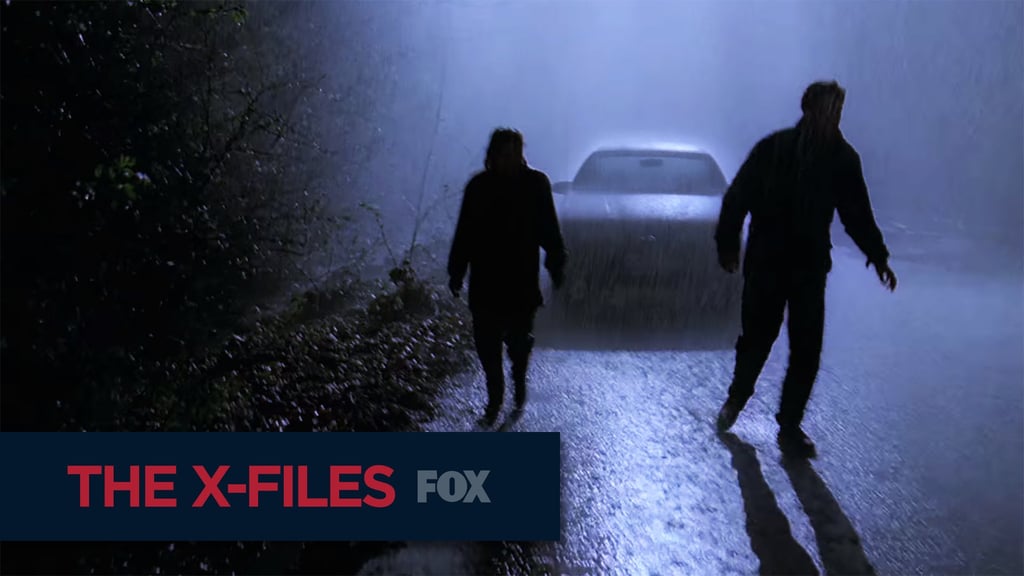 "201 Days of The X-Files"