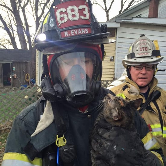 Firefighters Rescue Cats From House Fire