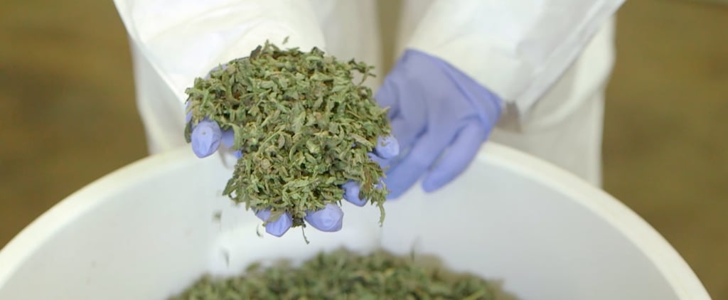 All-Female Weed Company