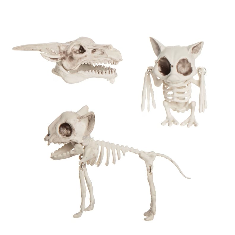 Michaels Halloween Decor: Mesh Bag of Skeleton Animals — Set of 3