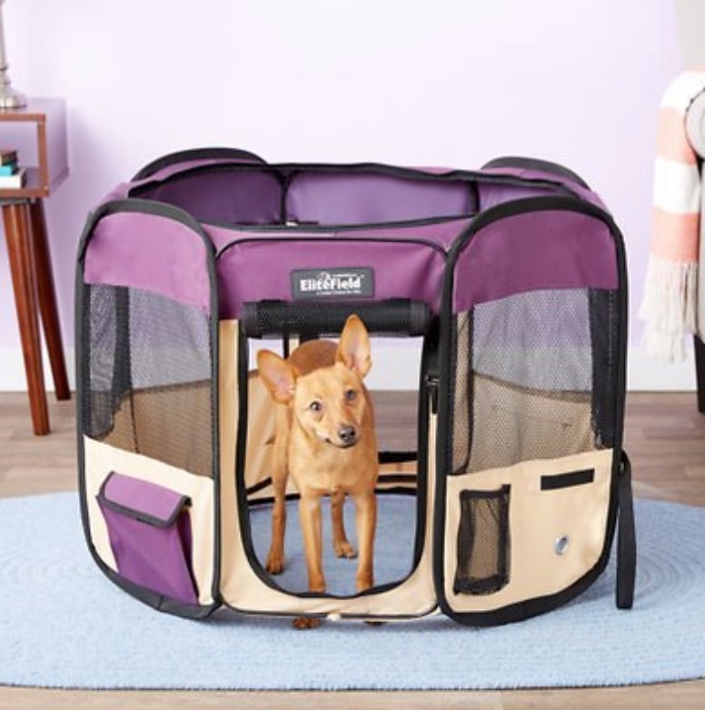 Chewy dog playpen sales