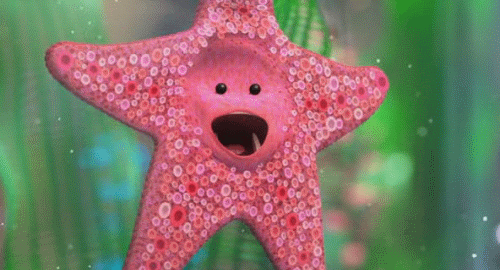 When We Meet the Starfish in the Tank