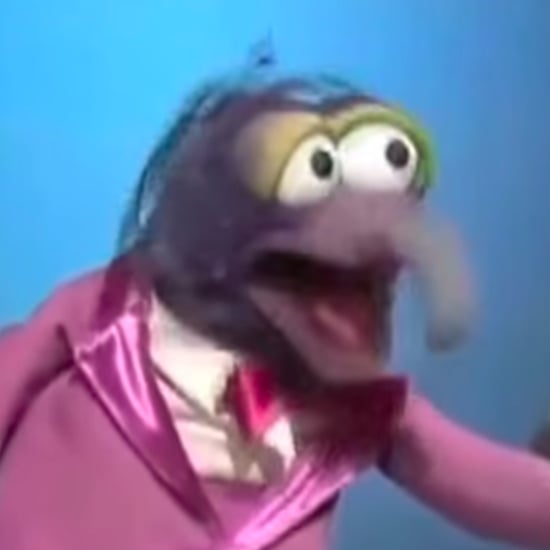 The Muppets Version of "The Humpty Dance"