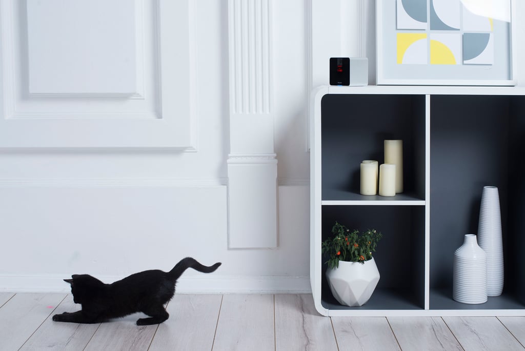 Petcube Camera and Video Recorder
