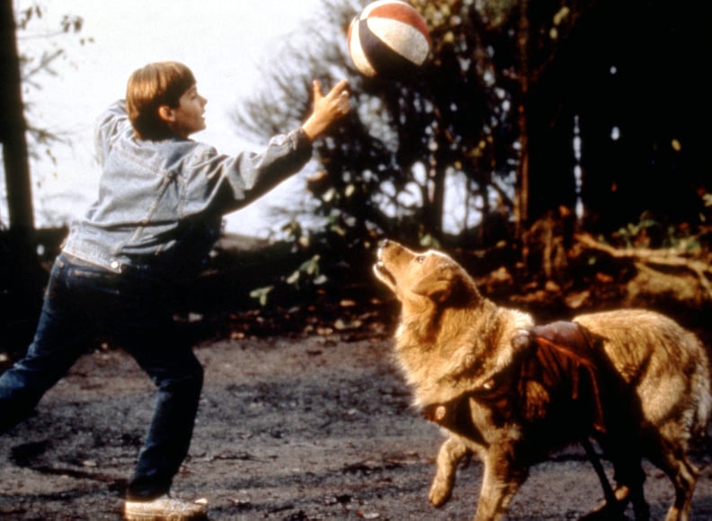 Air Bud: Josh Sends Bud Away