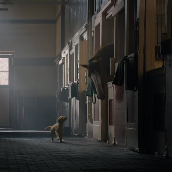 Super Bowl Commercials 2014