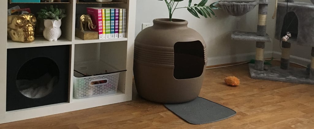 Best Litter Box For Small Space