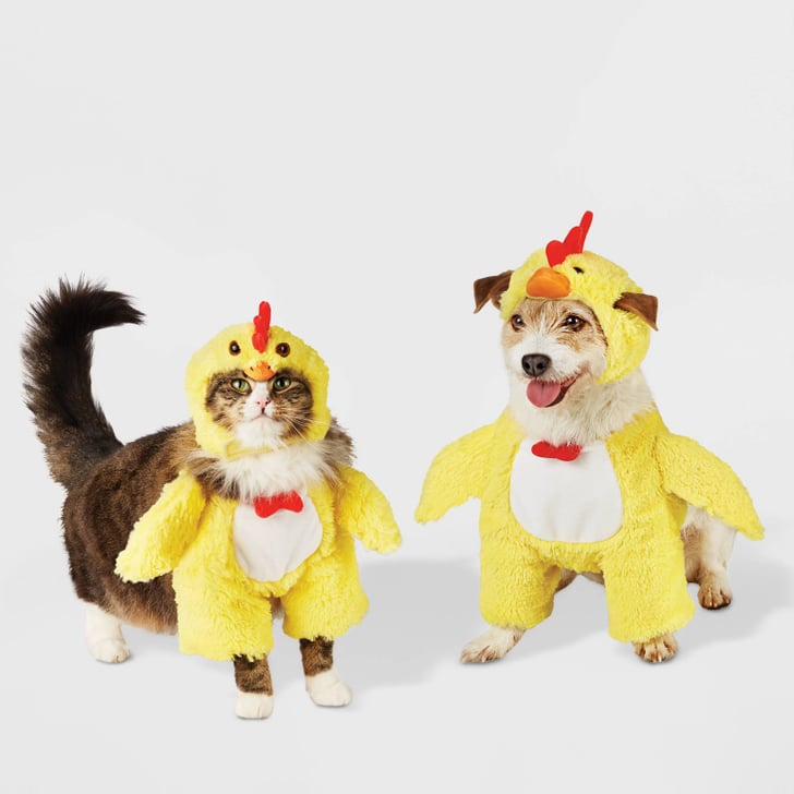 The Cutest Chick On the Block Hyde & EEK! Boutique Chicken Frontal Dog