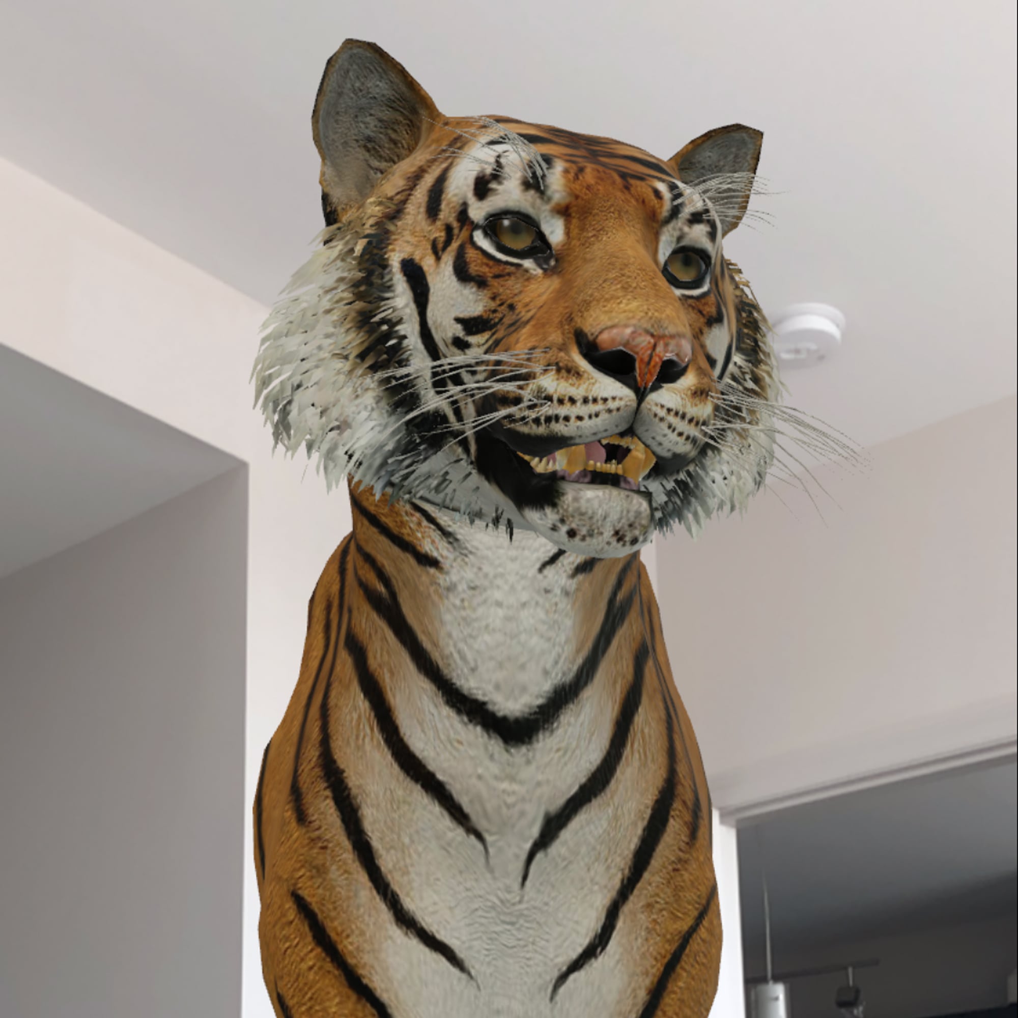 How To Use Google S View In 3d Feature To See Animals Popsugar