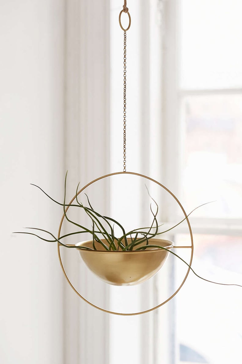 The Coolest Hanging Planter