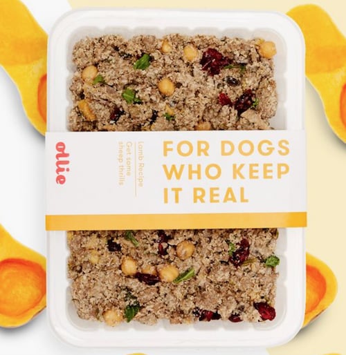A Healthier Food That’s Custom For Your Pup