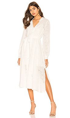 Line & Dot Shirt Dress