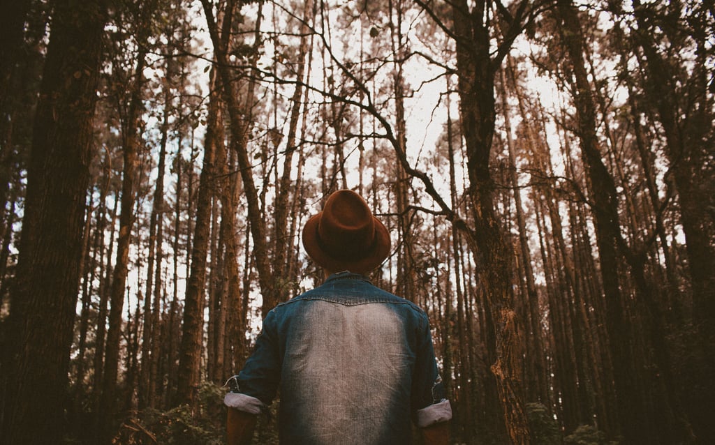 Never-Ending Wanderlust Never-Ending Wanderlust