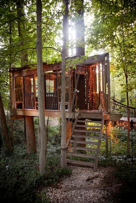 best tree house airbnb