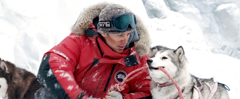 Eight Below