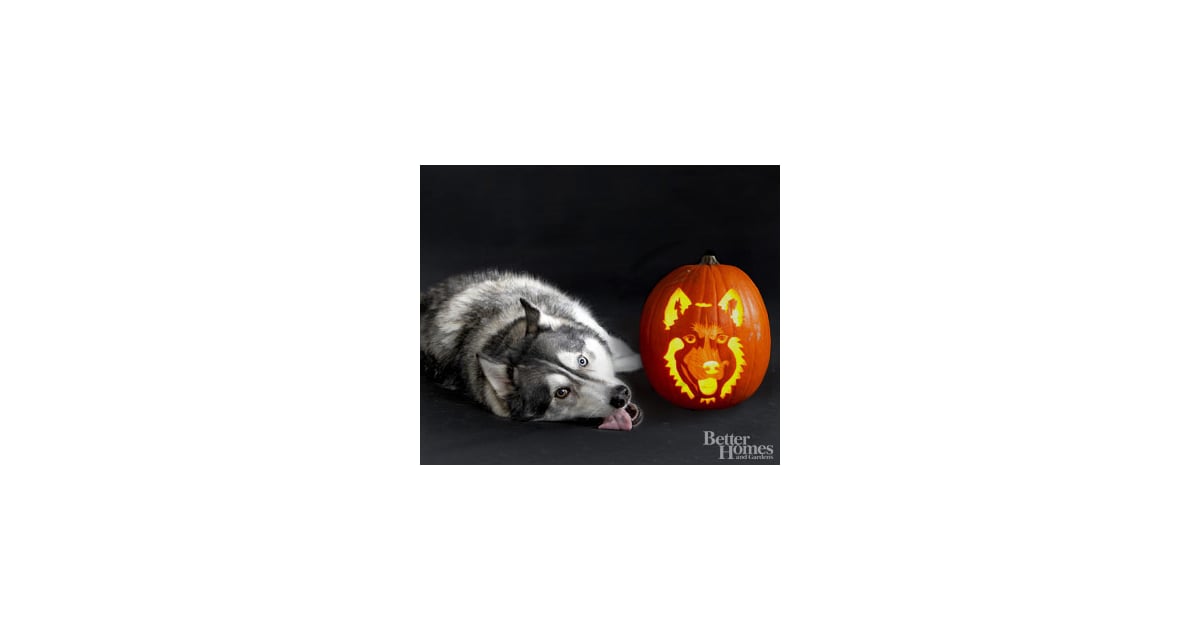 Siberian Husky | Downloadable Dog Breed Pumpkin Stencils | POPSUGAR ...