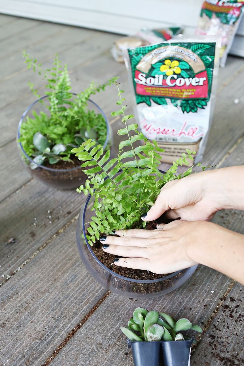 Soil and Potting