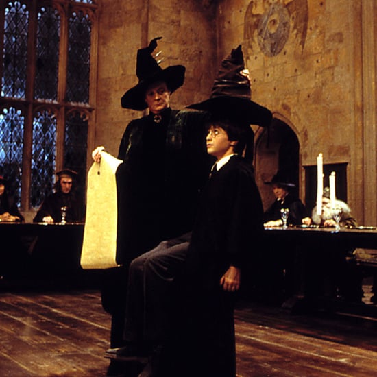 Harry Potter Sorting Hat Is Biased Theory