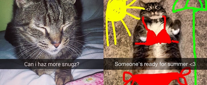 Snapcat Pictures