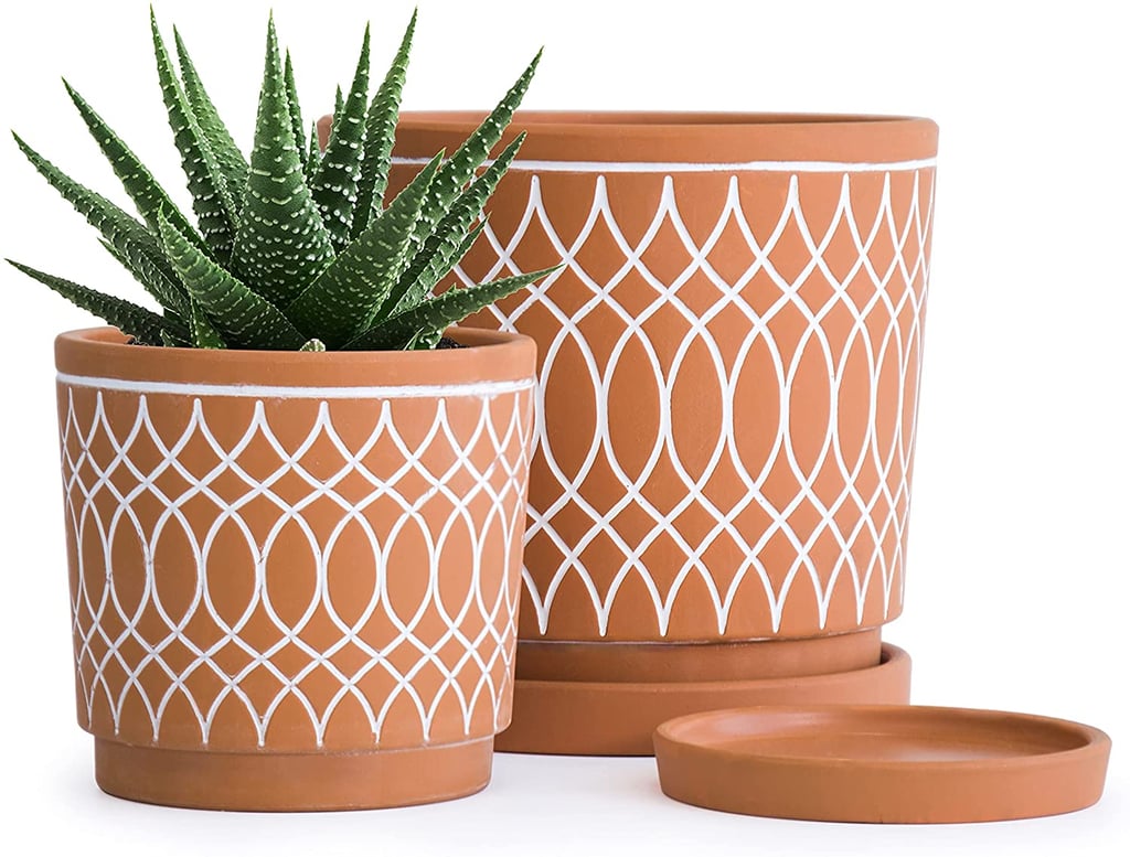 A Classic Terracotta — With a Twist: Terracotta Plant Pots With Line Pattern Design
