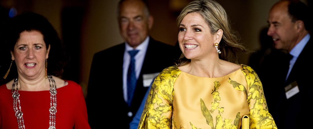 Queen Maxima Bell-Sleeved Dresses May 2016