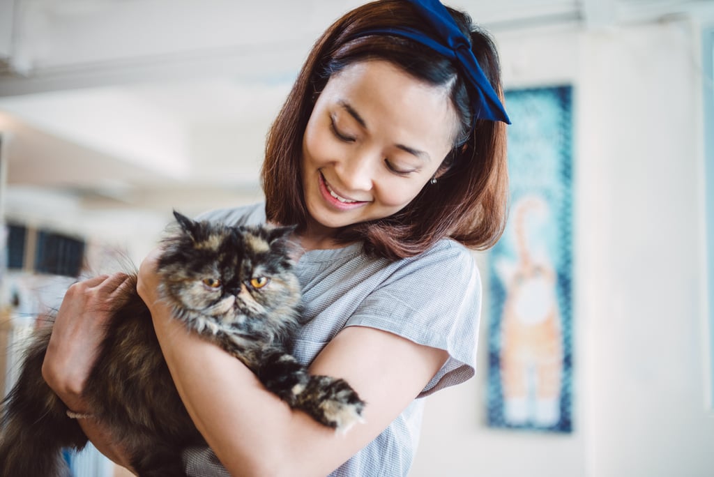 Which Cat Breed Are You By Zodiac Sign