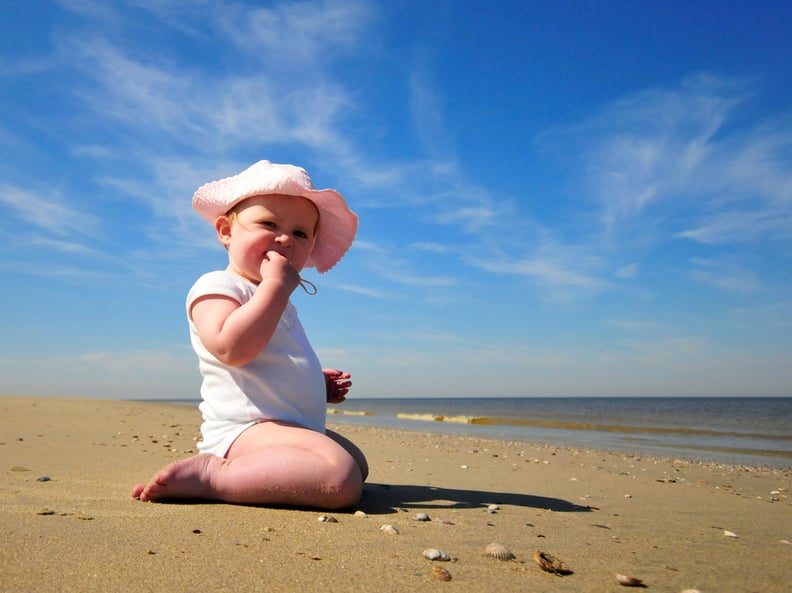 She Hunts Seashells by the Seashore